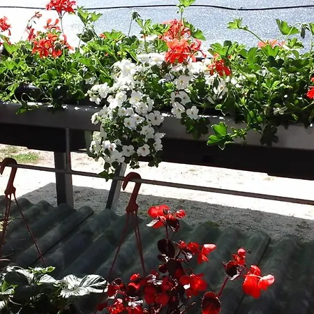 아파트 With A Parking Space Stinjan, - 15560 풀라