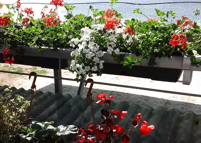 Апартаменти With A Parking Space Stinjan, - 15560 Пула